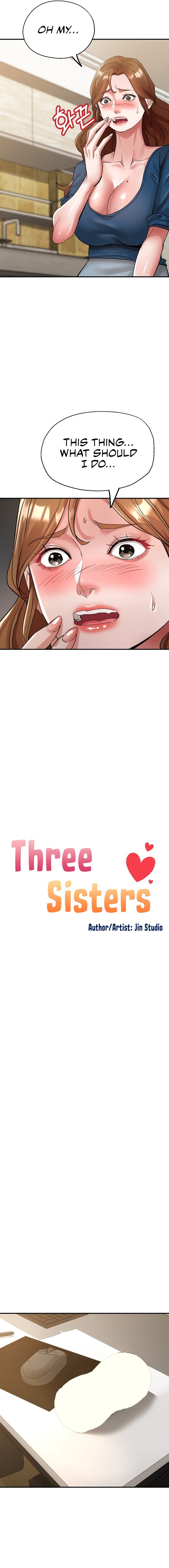 Three Sisters - Chapter 12 - picture 1