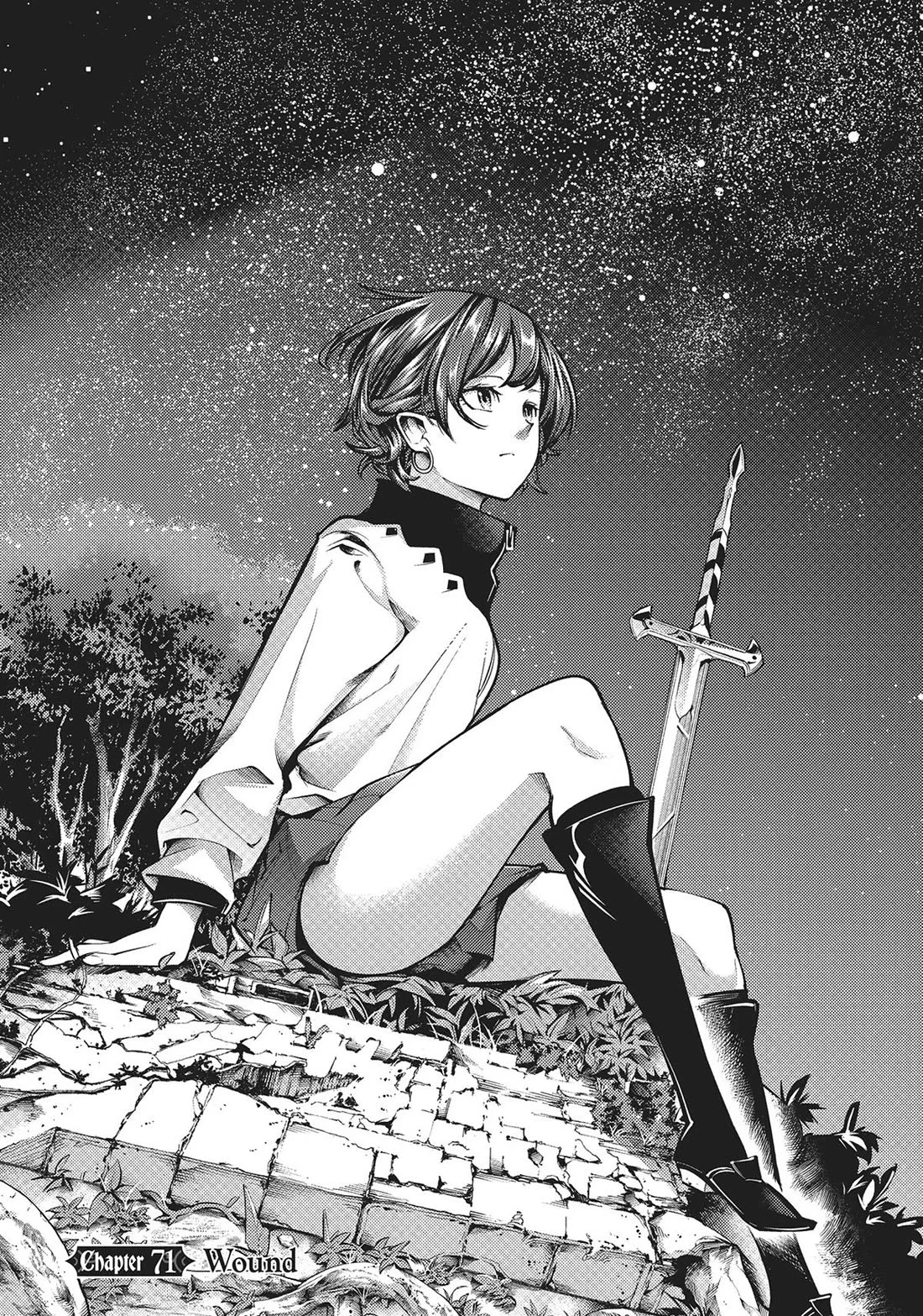 Shuumatsu no Harem: Fantasia - Chapter 71 - picture 1