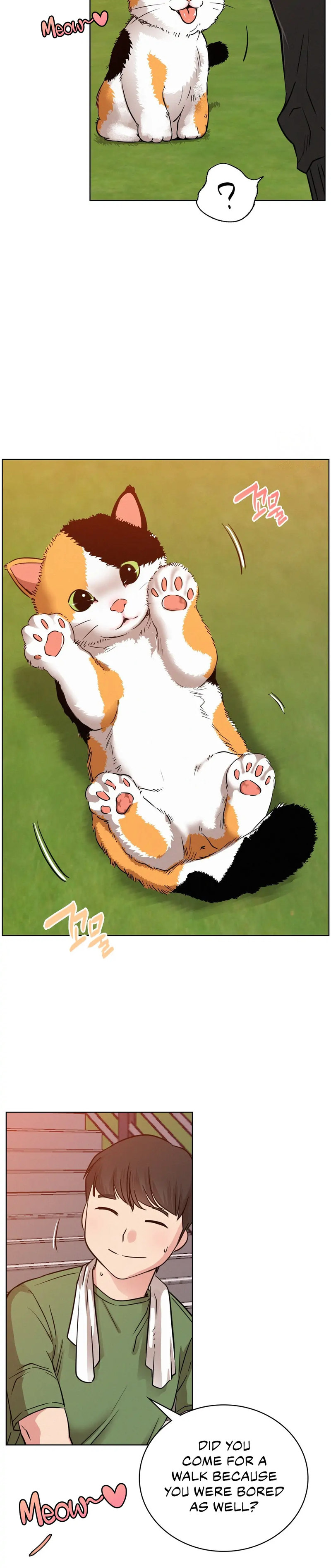 Staying with Ajumma - Chapter 33 - picture 16