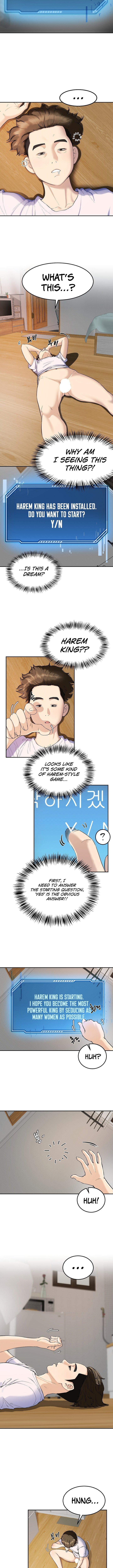 Harem King - Chapter 1 - picture 14