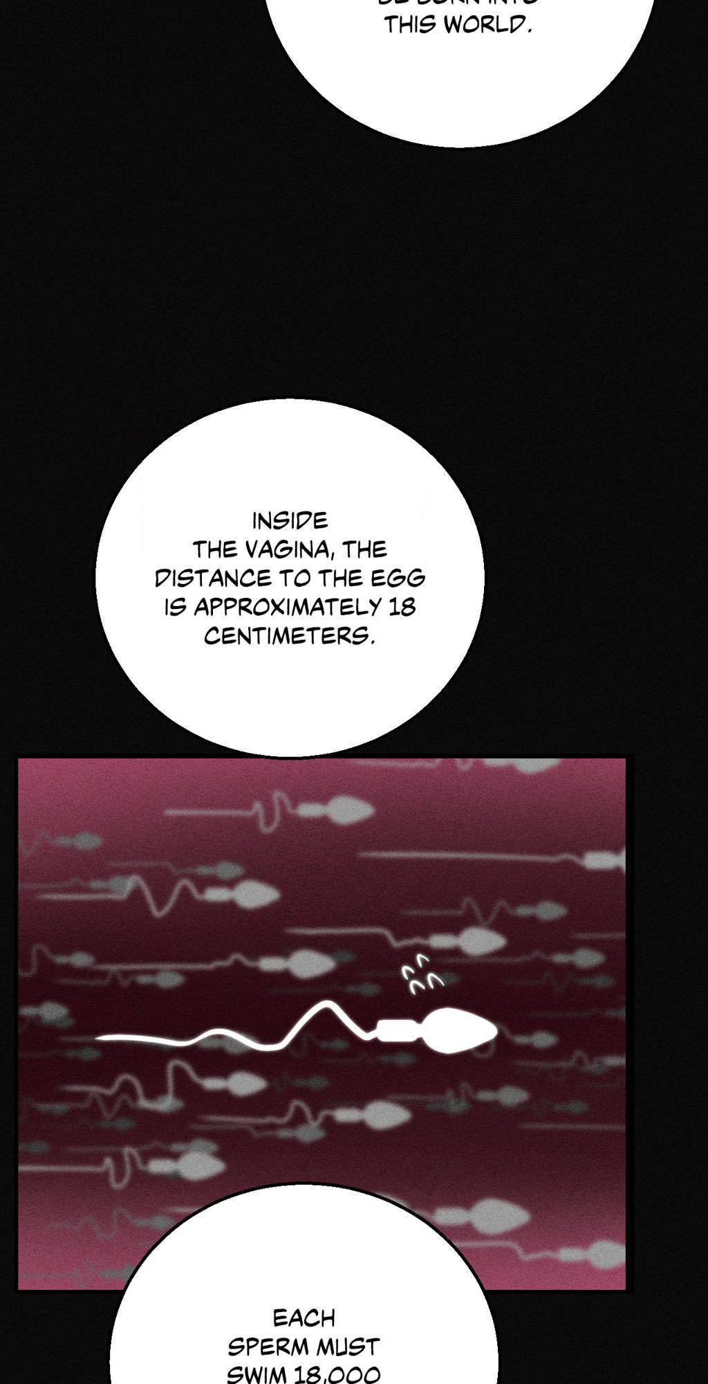 Seniors of Class 5 - Chapter 76 - picture 25