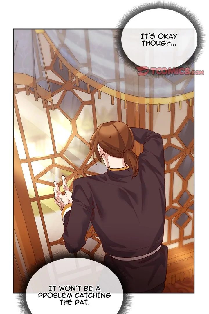 I Will Protect the Lady - Chapter 10 - picture 53