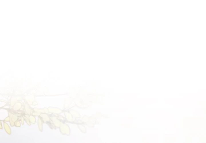 Stop Smoking - Chapter 22 - picture 0
