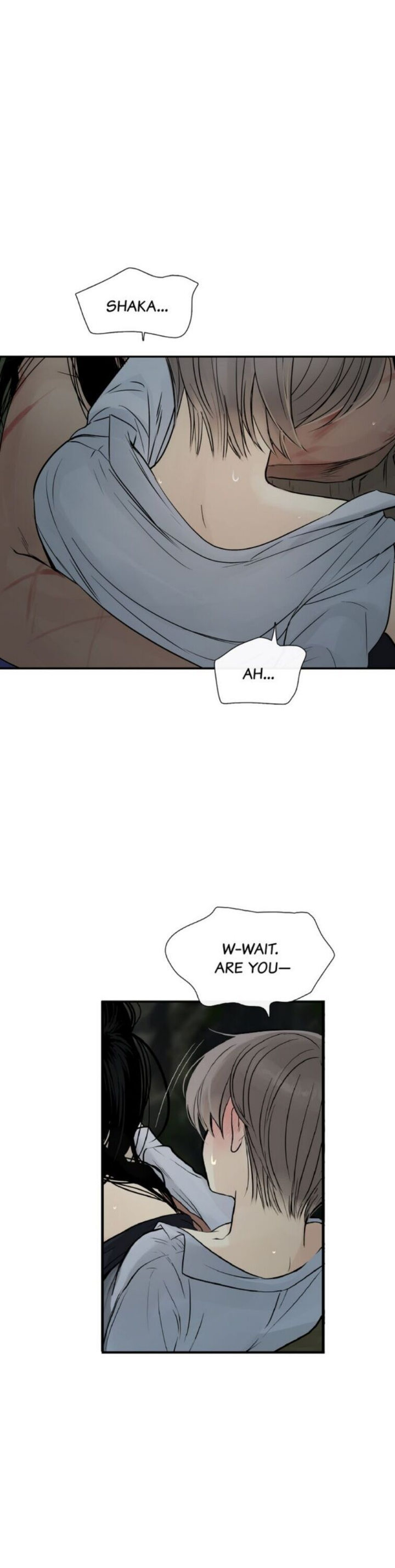 Totem Realm - Chapter 32 - picture 29
