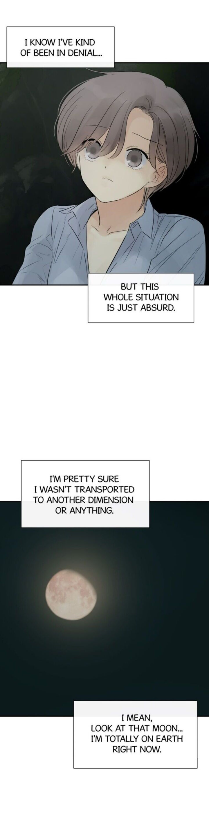 Totem Realm - Chapter 33 - picture 11