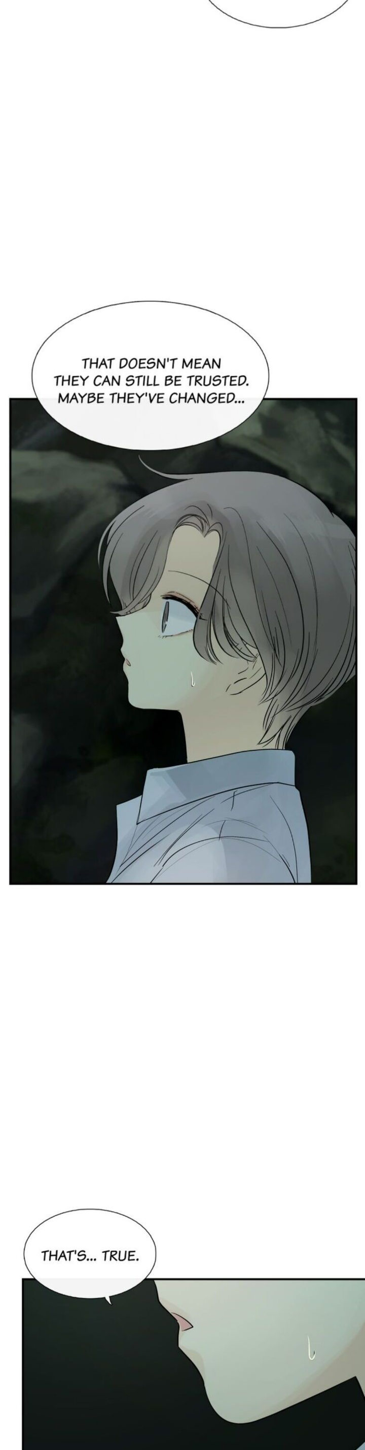 Totem Realm - Chapter 33 - picture 25