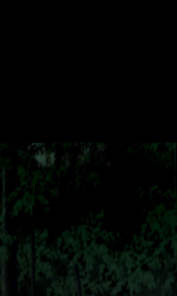 Totem Realm - Chapter 37 - picture 5