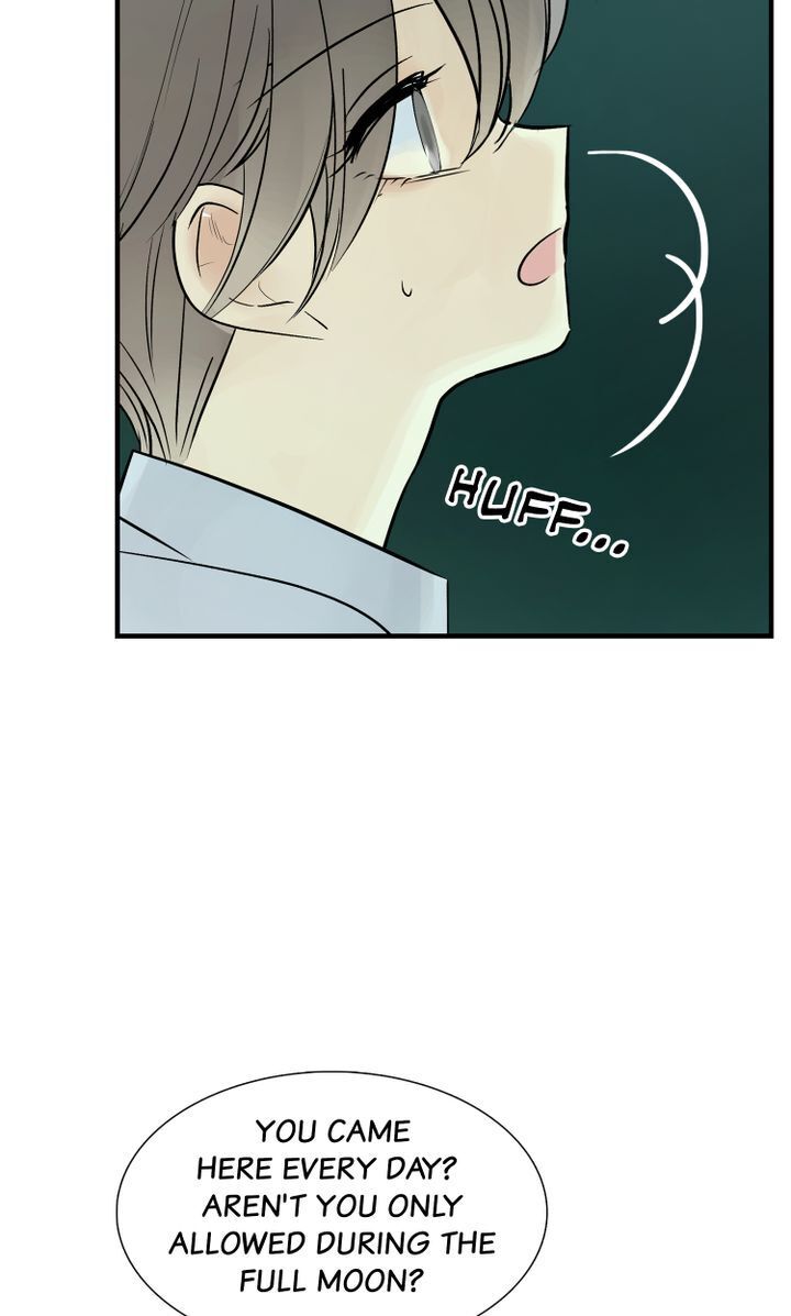 Totem Realm - Chapter 39 - picture 82