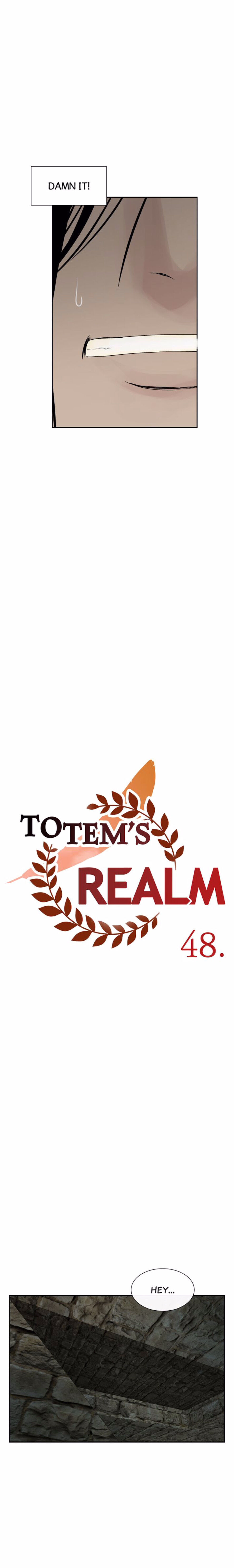 Totem Realm - Chapter 48 - picture 19