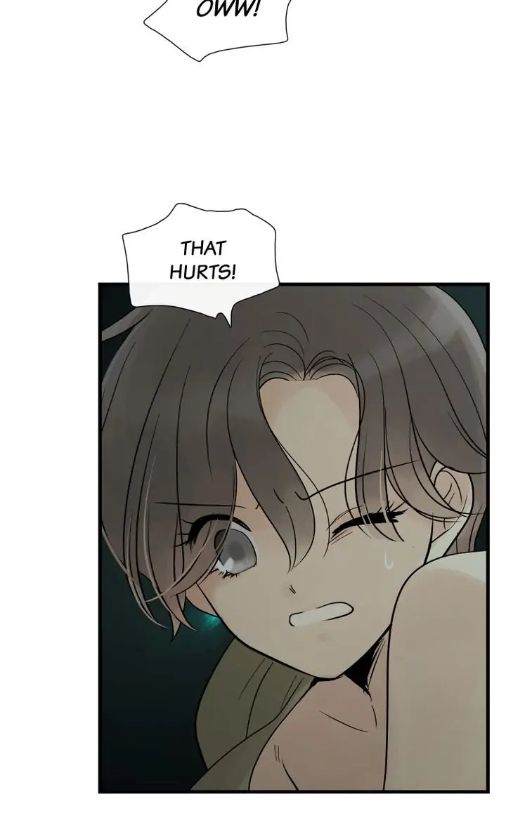 Totem Realm - Chapter 73 - picture 55