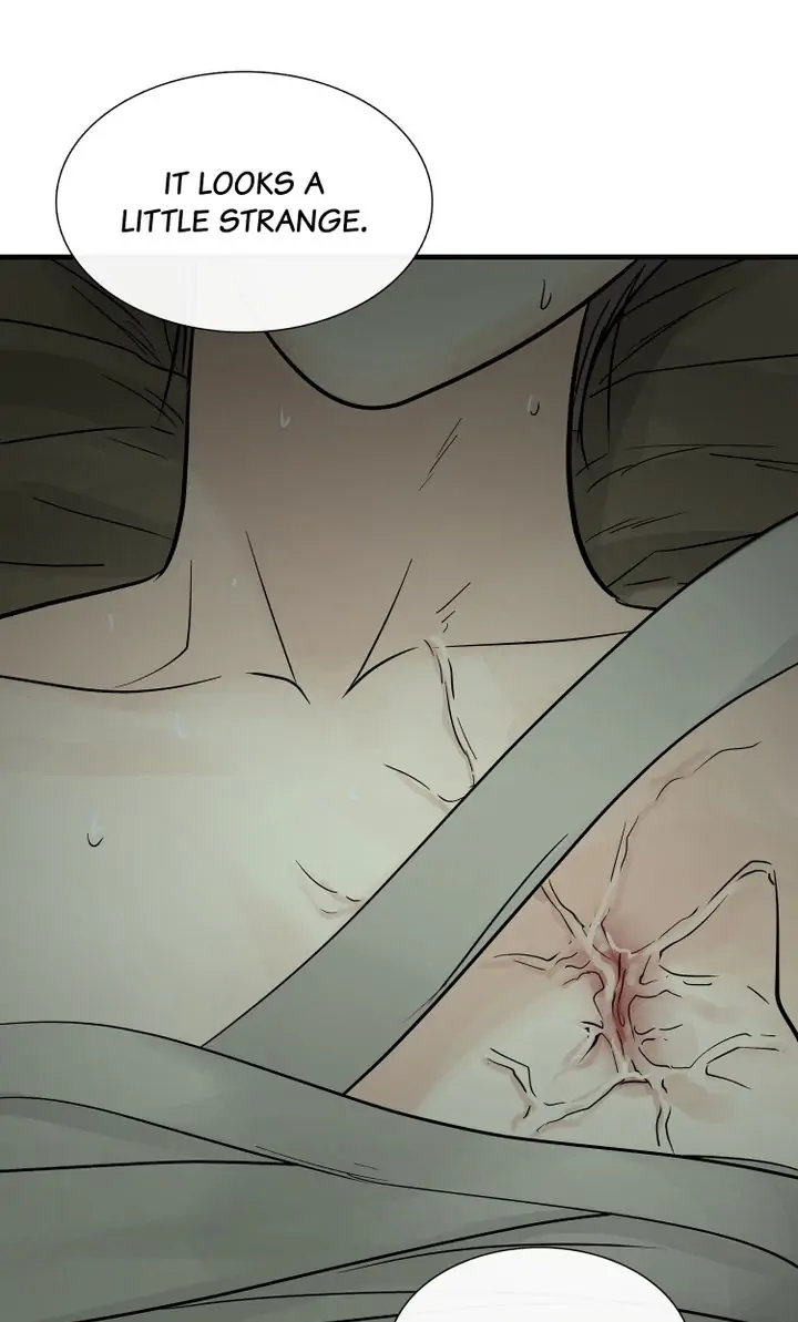 Totem Realm - Chapter 79 - picture 73