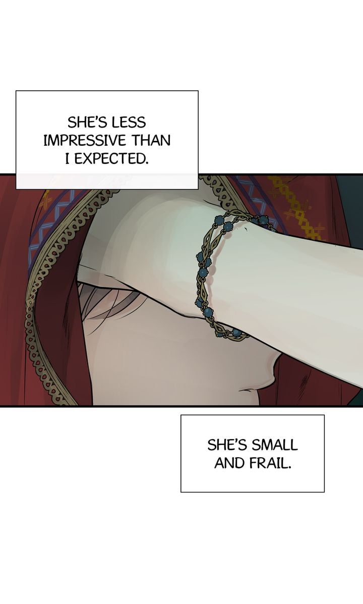 Totem Realm - Chapter 81 - picture 42
