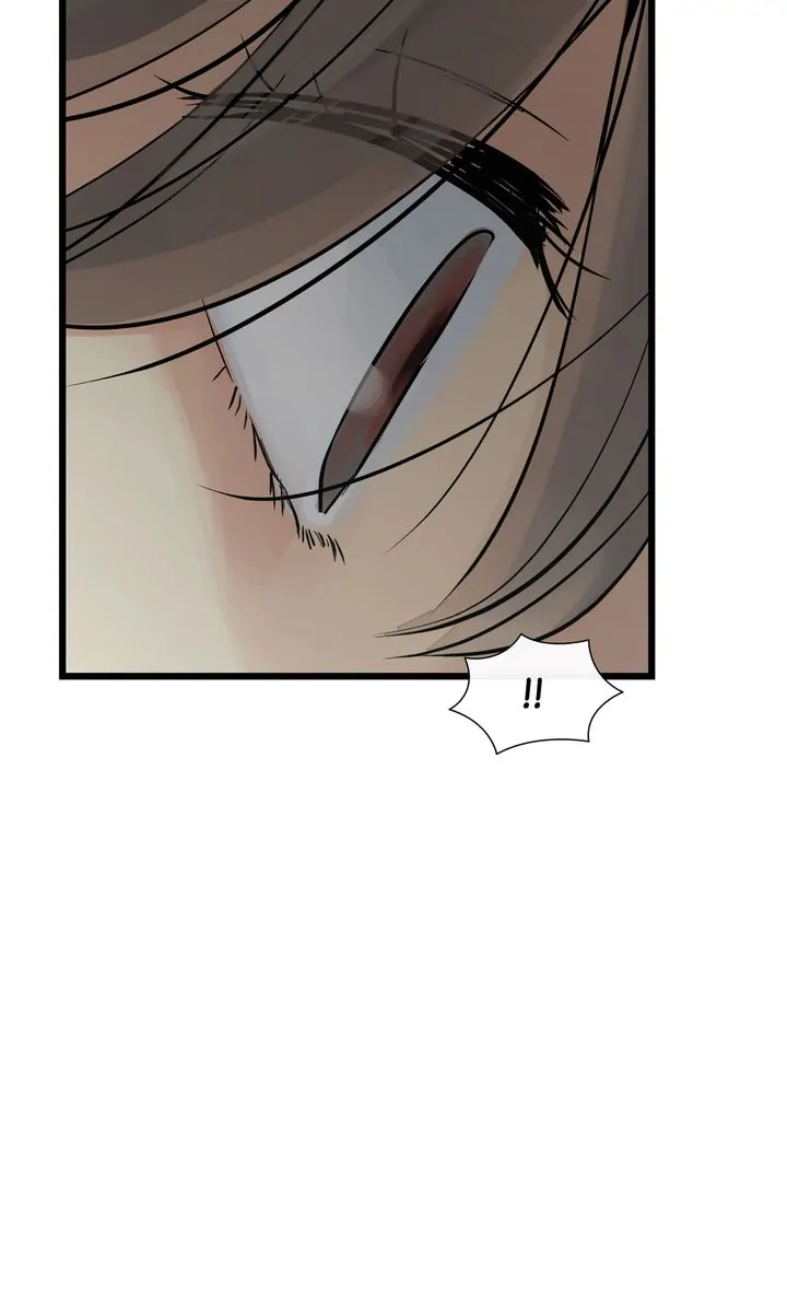 Totem Realm - Chapter 83 - picture 88