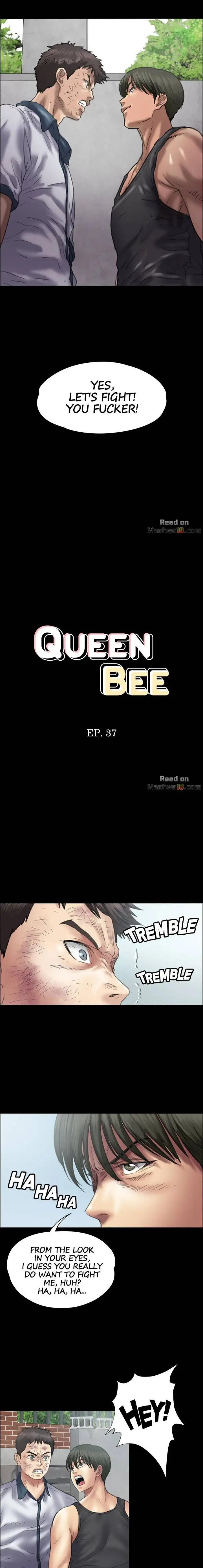Queen Bee - Chapter 37 - picture 1