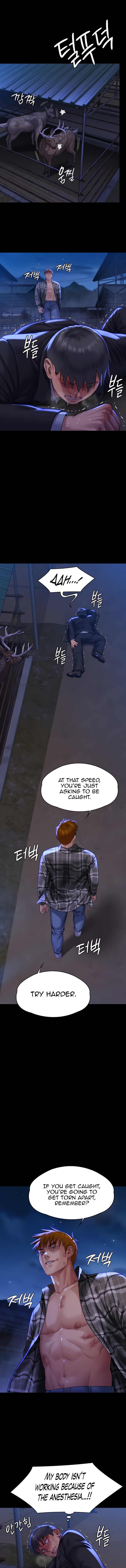 Queen Bee - Chapter 312 - picture 5