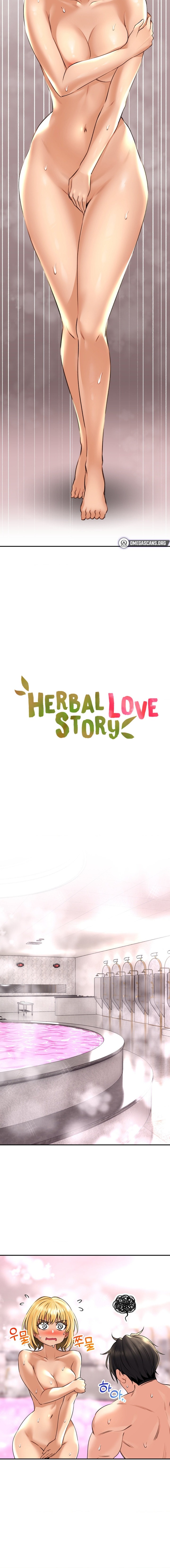 Page 2 of Chapter 14: Herbal Love Story