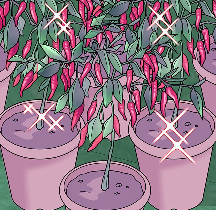Page 151 of Chapter 10: Bride’s Kitchen