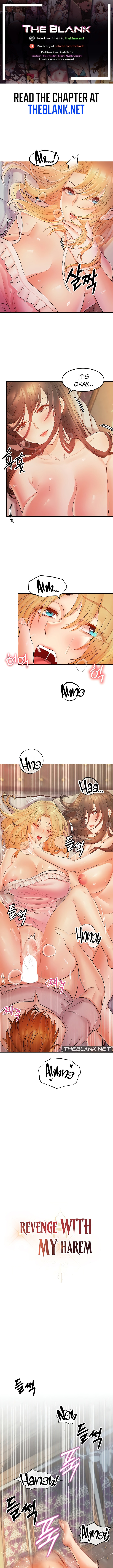 Page 1 of Chapter 11: Revenge by Harem