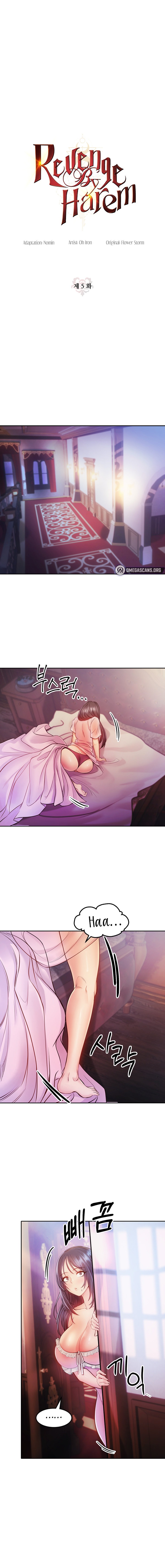 Page 13 of Chapter 5: Revenge by Harem